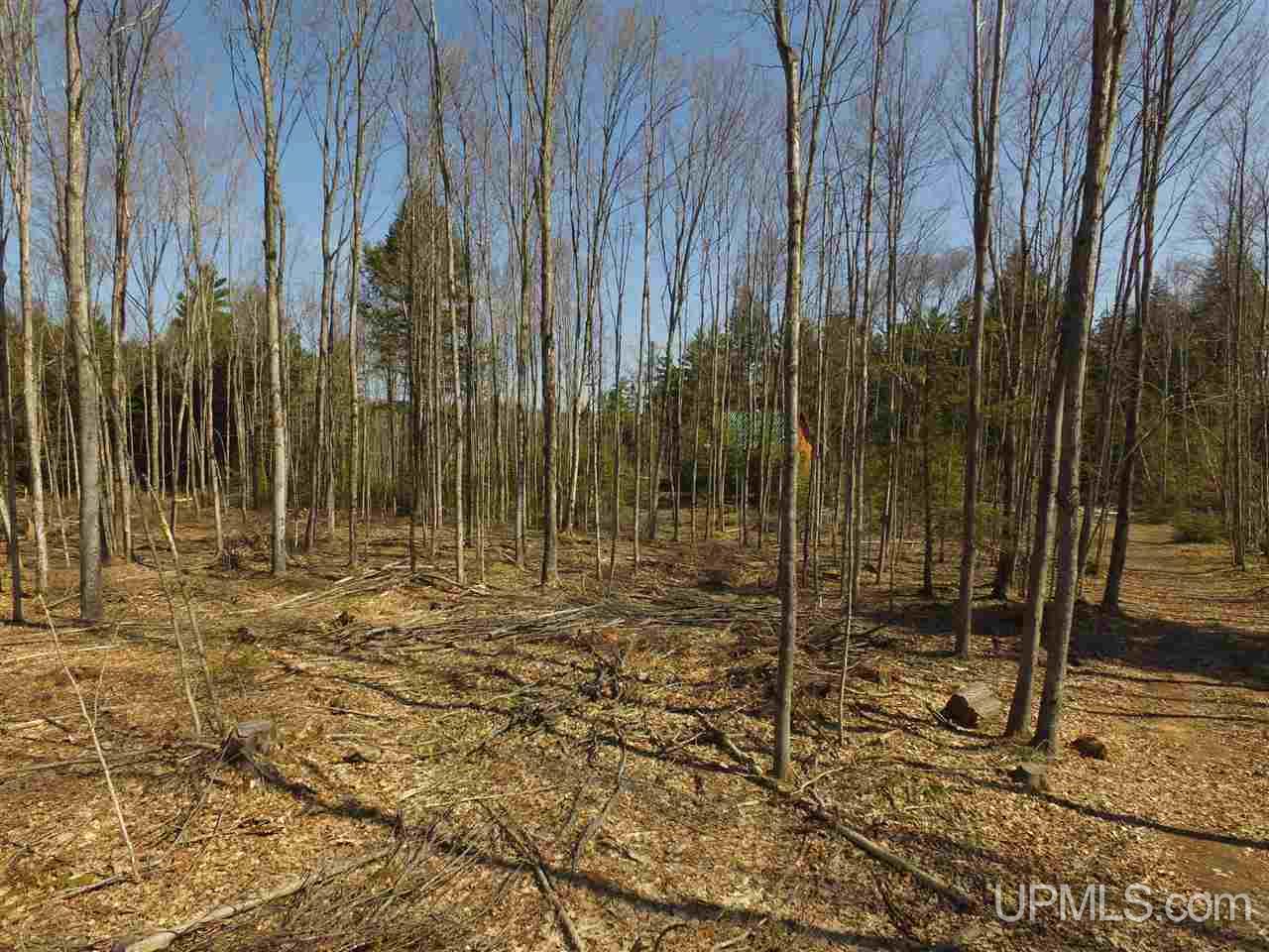 N2510 Co Rd Kch Big Bay, MI 49808 - Photo 9 of 39
