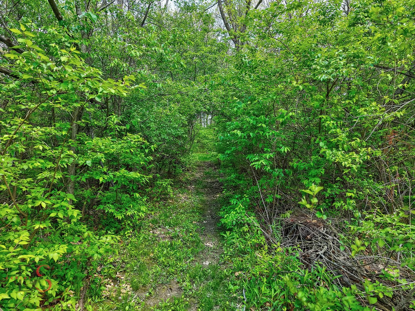 2597 North 2739th Road Marseilles, IL 61341 - Photo 13 of 46