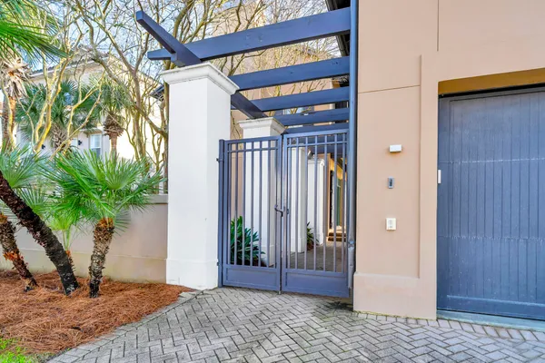 a kitchen with a stove and a potted plant