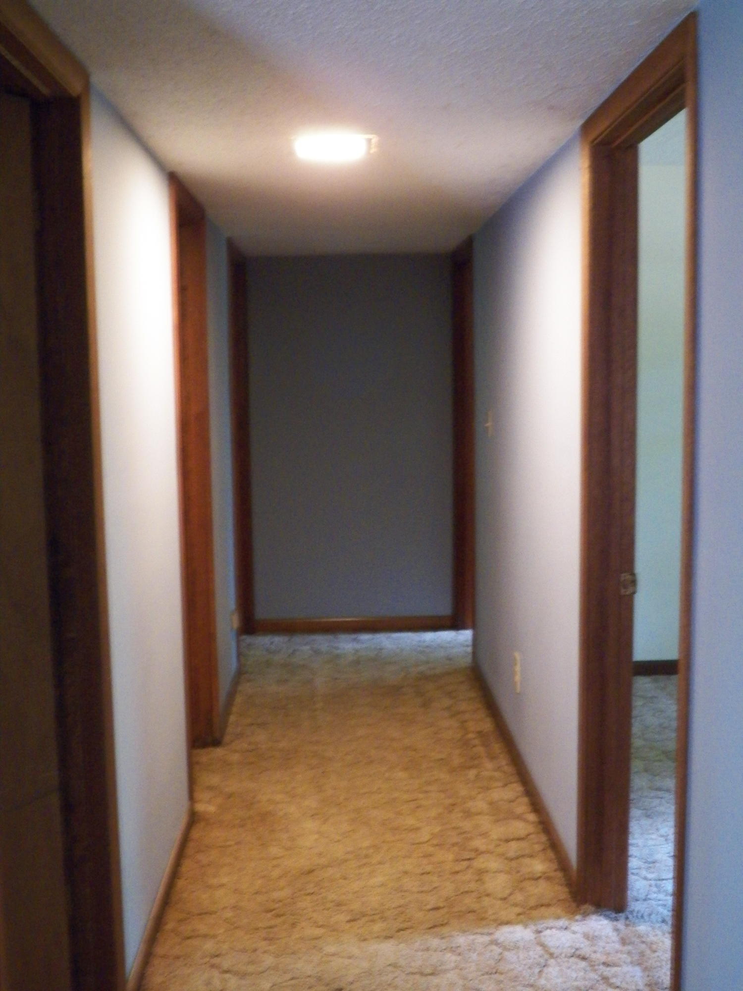 129 Eastwood Road Ten Mile, TN 37880 - Photo 22 of 27 Lower Level Hallway