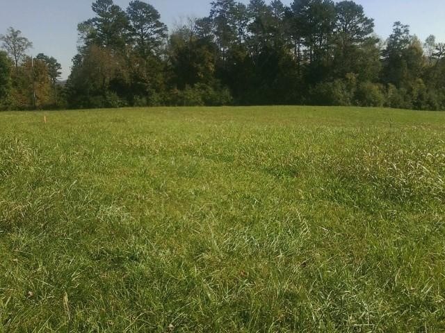 385 Sloans Gap Road Ocoee, TN 37361 - Photo 1 of 1
