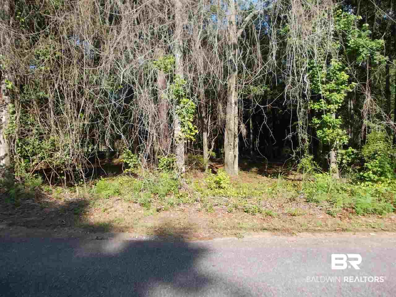 0 Ernest Patterson Road Robertsdale, AL 36567 - Photo 3 of 14