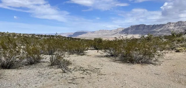 a view of a covered with trees in the background
