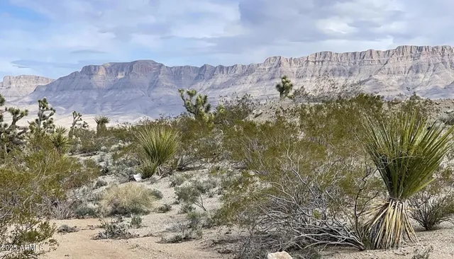 a view of a houses with a yard