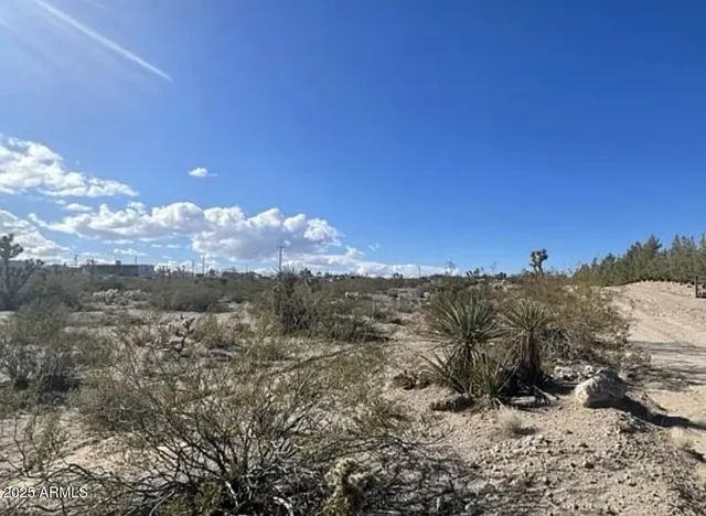 a view of a covered with trees
