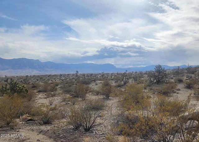 a view of a city and mountains