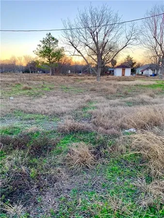 a view of a yard with plants and large trees