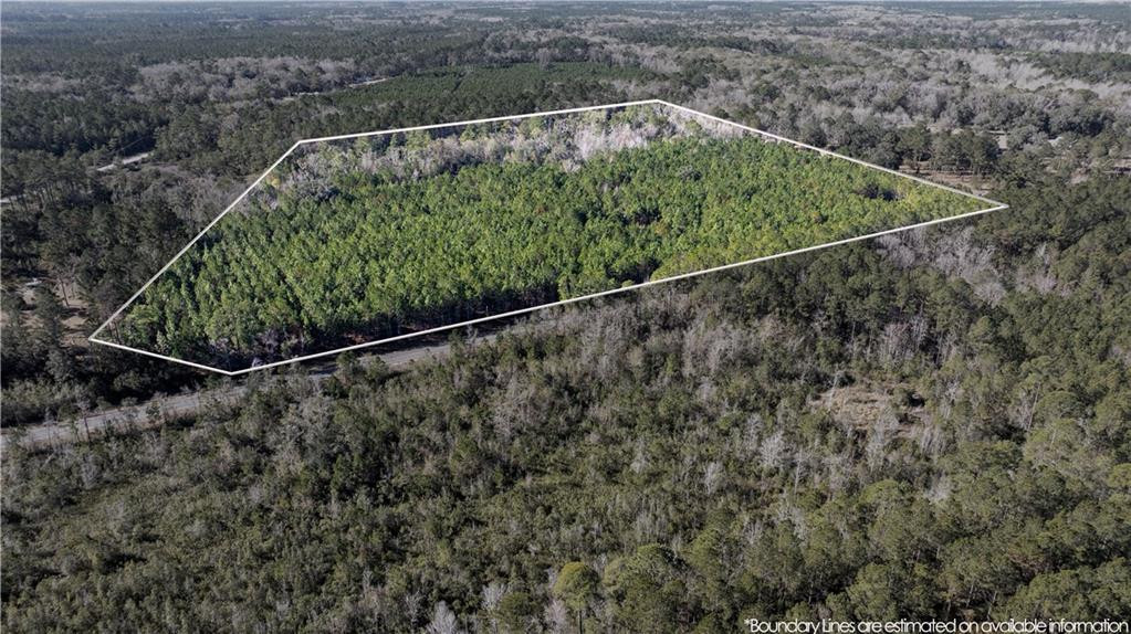 30.46-acres Minton Road Townsend, GA 31331 - Photo 13 of 22