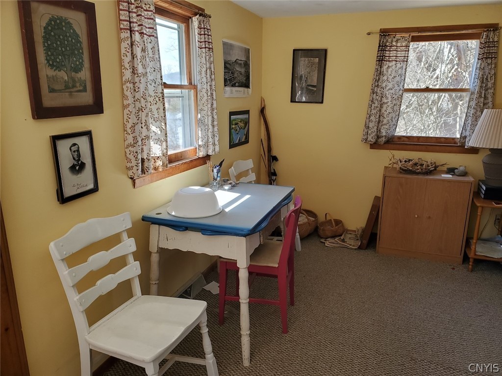 1720 County Route 12 De Ruyter, NY 13052 - Photo 16 of 49