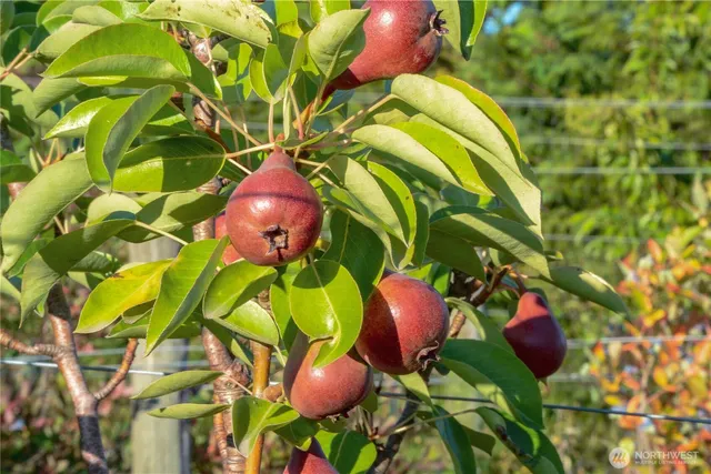 a view of swimming pool with a patio