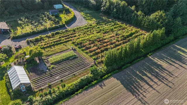 a backyard of a house with lots of green space and a fountain