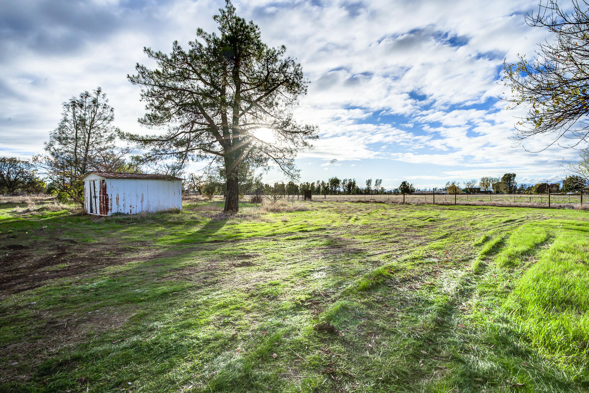 17677 Olinda Road Anderson, CA 96007 - Photo 22 of 27 Olinda-27