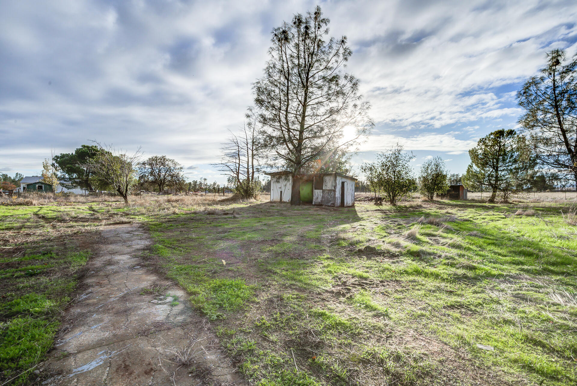 17677 Olinda Road Anderson, CA 96007 - Photo 24 of 27 Olinda-29