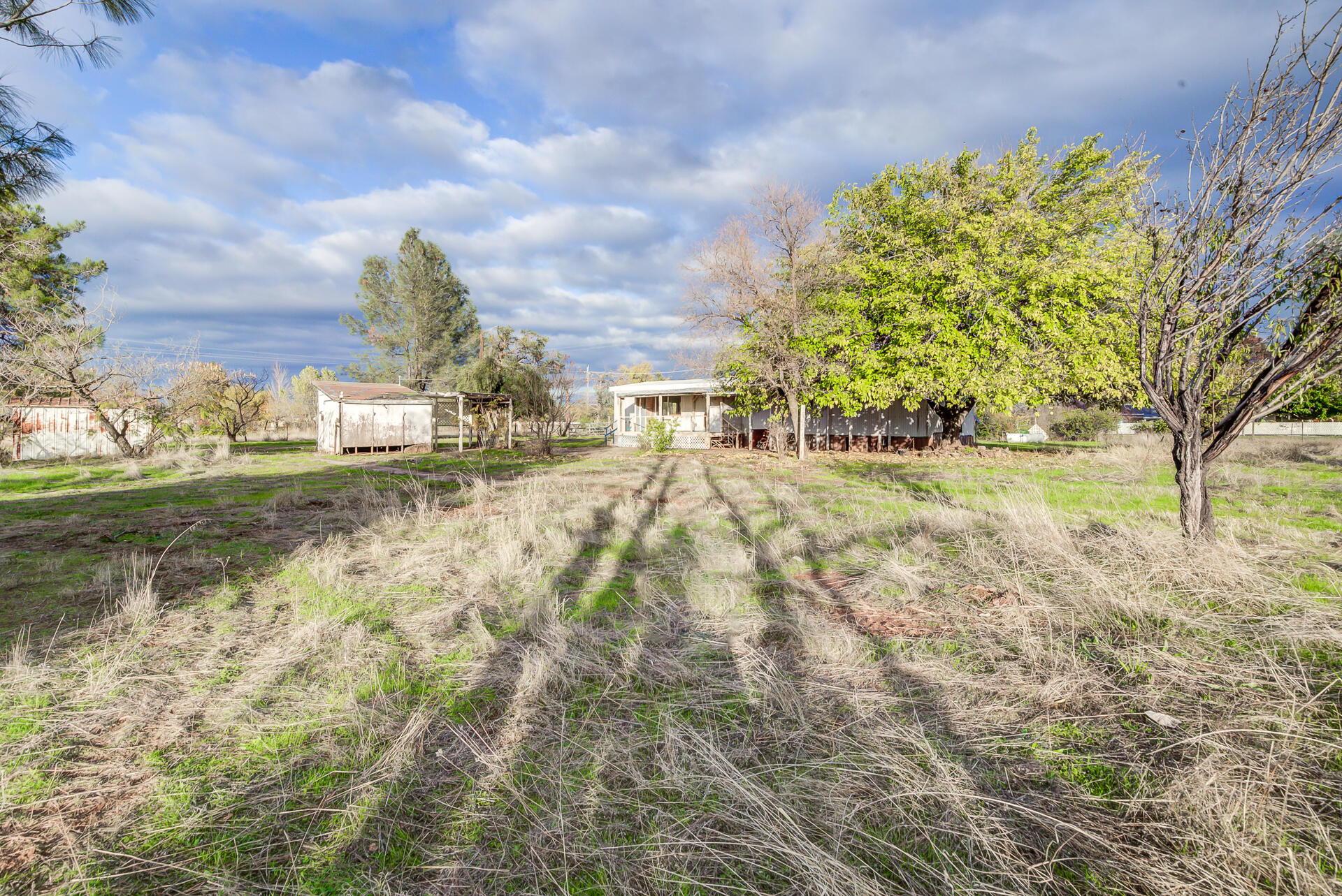 17677 Olinda Road Anderson, CA 96007 - Photo 25 of 27 Olinda-31