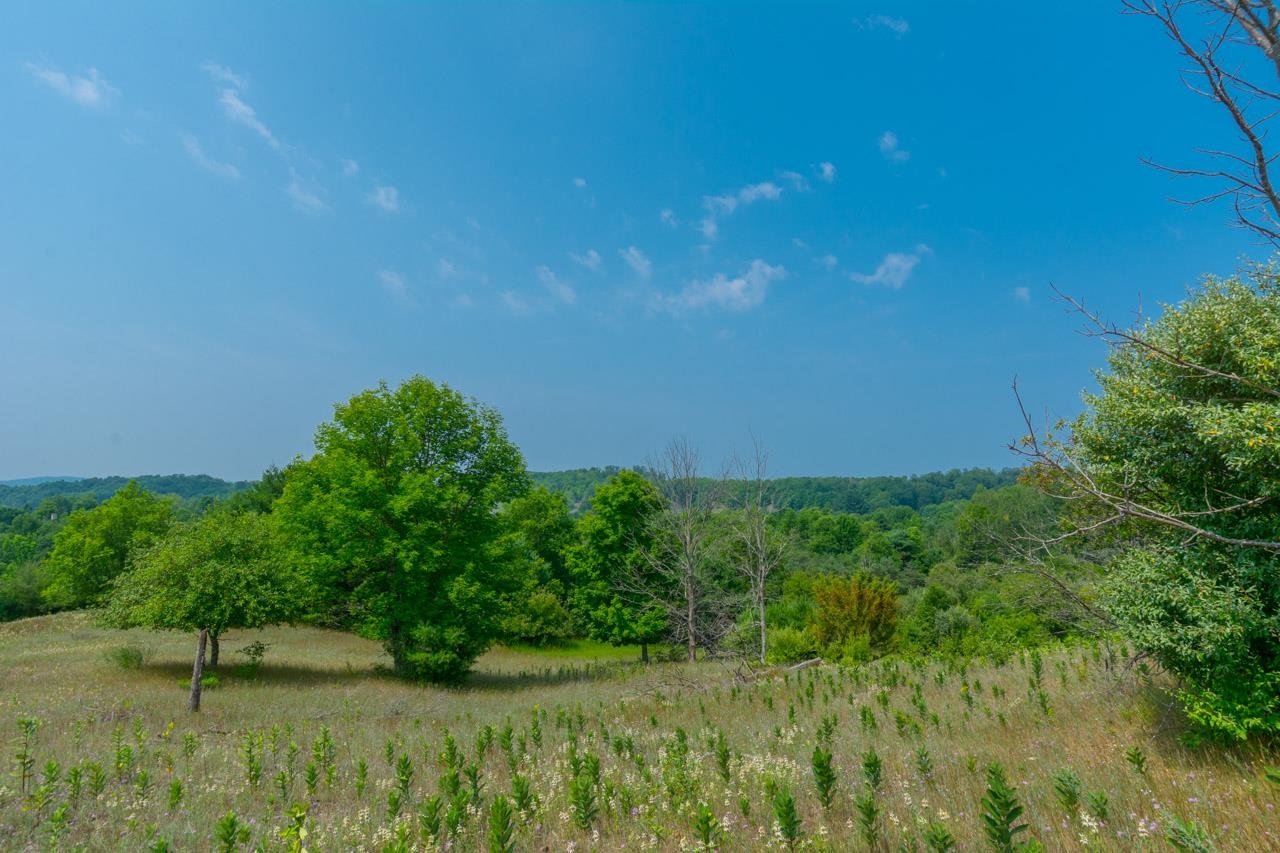 7557 South Schomberg Road Cedar, MI 49621 - Photo 4 of 52