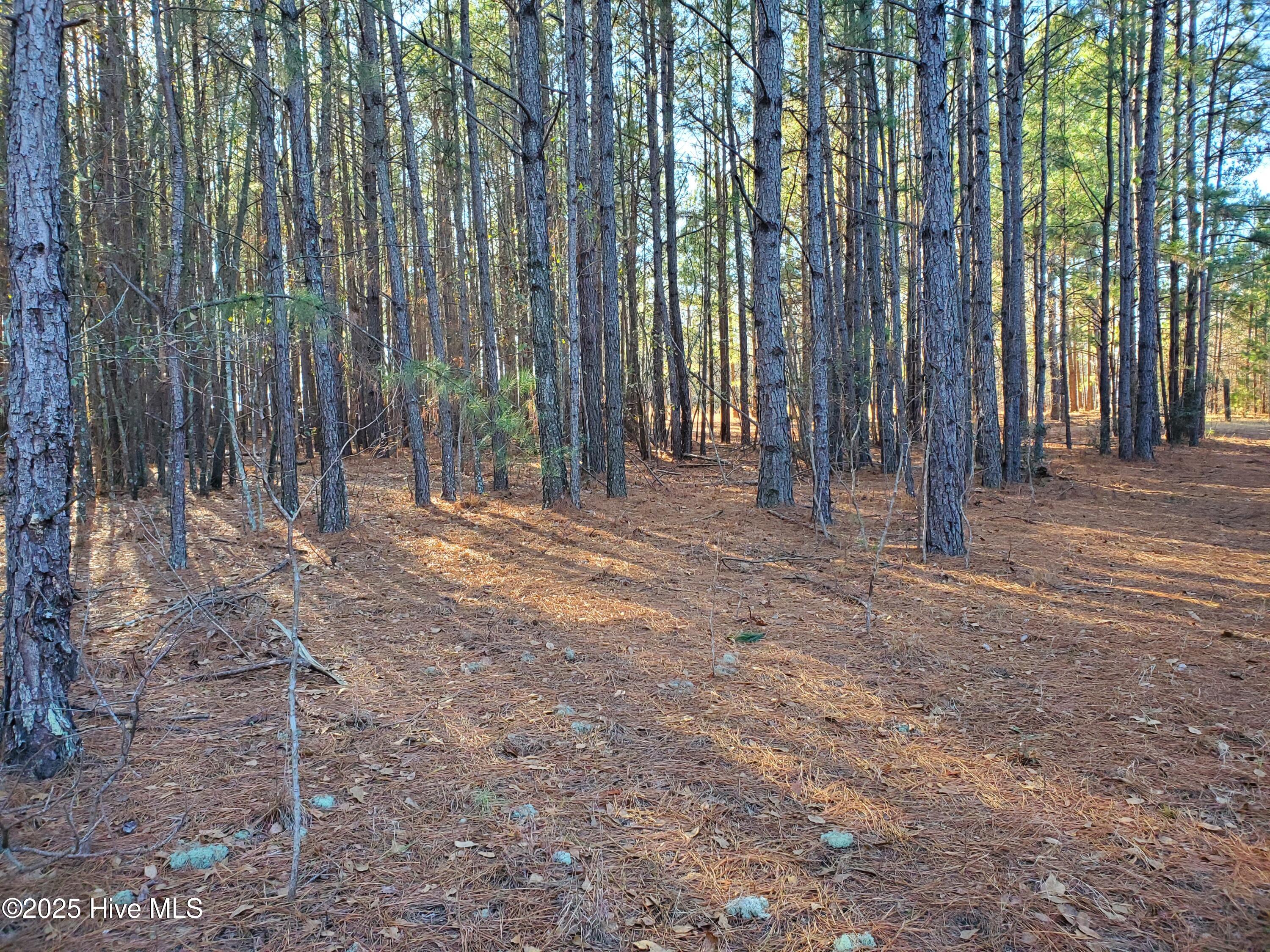 Tbd Crestline Road Laurinburg, NC 28352 - Photo 7 of 11 7