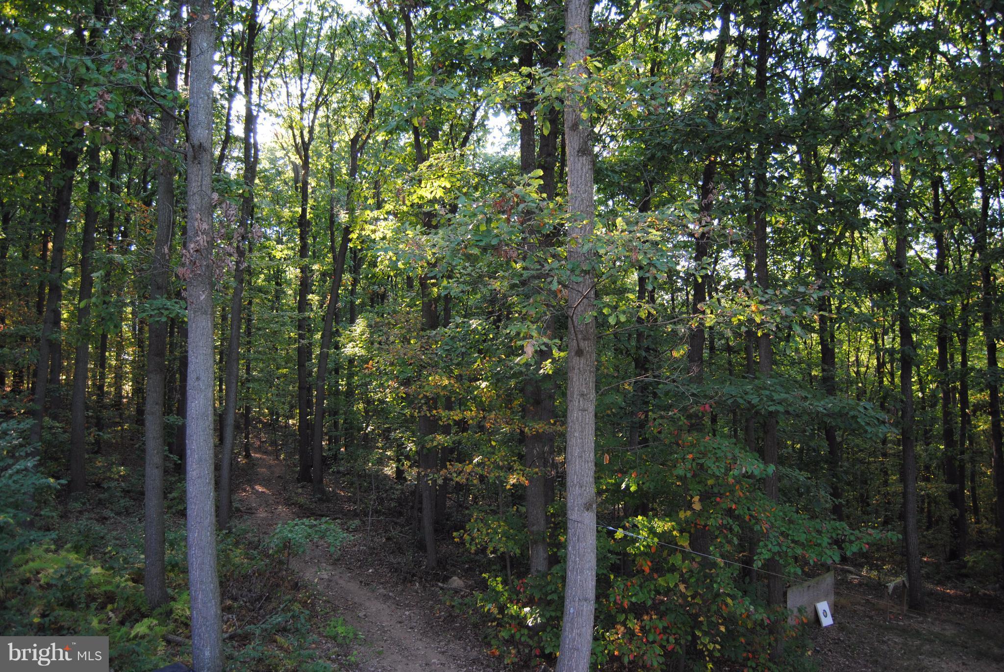 3944 Rinehart Road Westminster, MD 21158 - Photo 10 of 27 ATV Trail