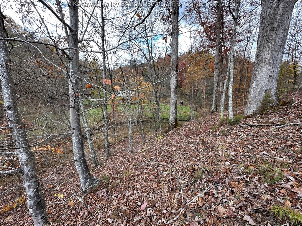 621 3 Mile Road Brohard, WV 26138 - Photo 15 of 48 Gallery Image 15