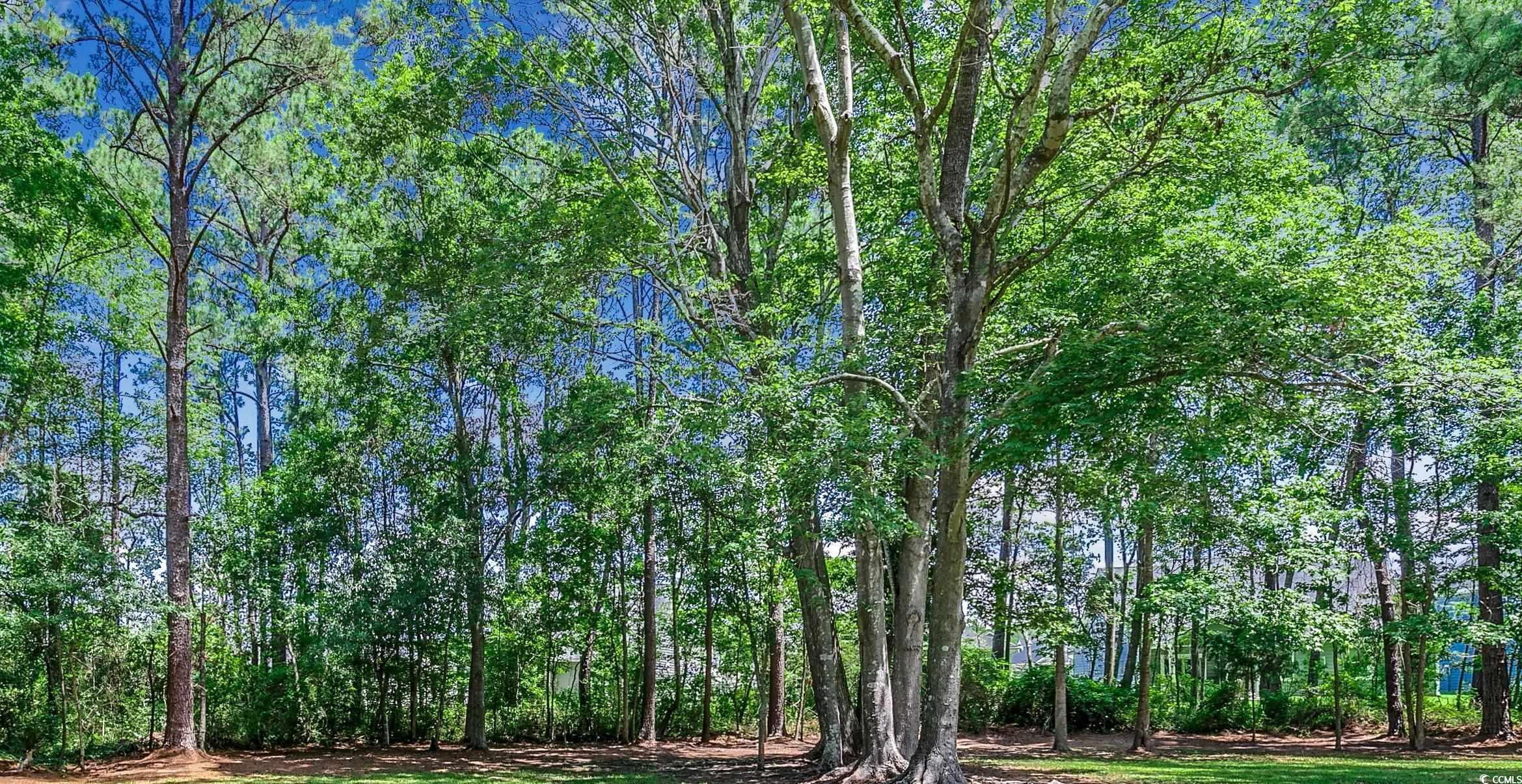 Tbd Monaca Drive Longs, SC 29568 - Photo 2 of 2 Gallery Image 2