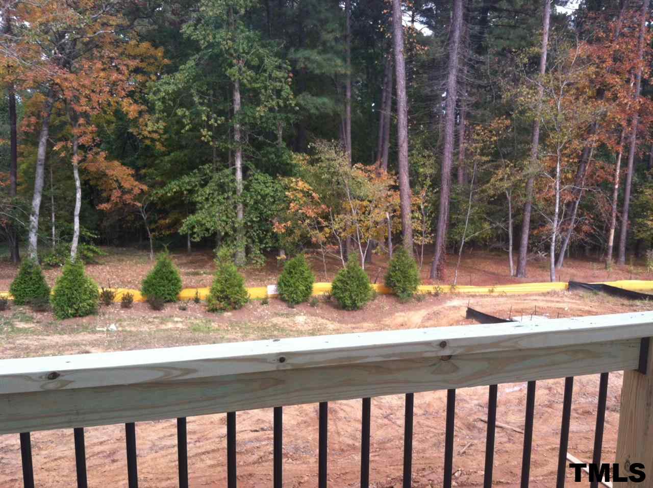 702 Edgewater Ridge Court Apex, NC 27523 - Photo 15 of 21 View from deck of back yard and common space. Home backs up to tree conservation area.