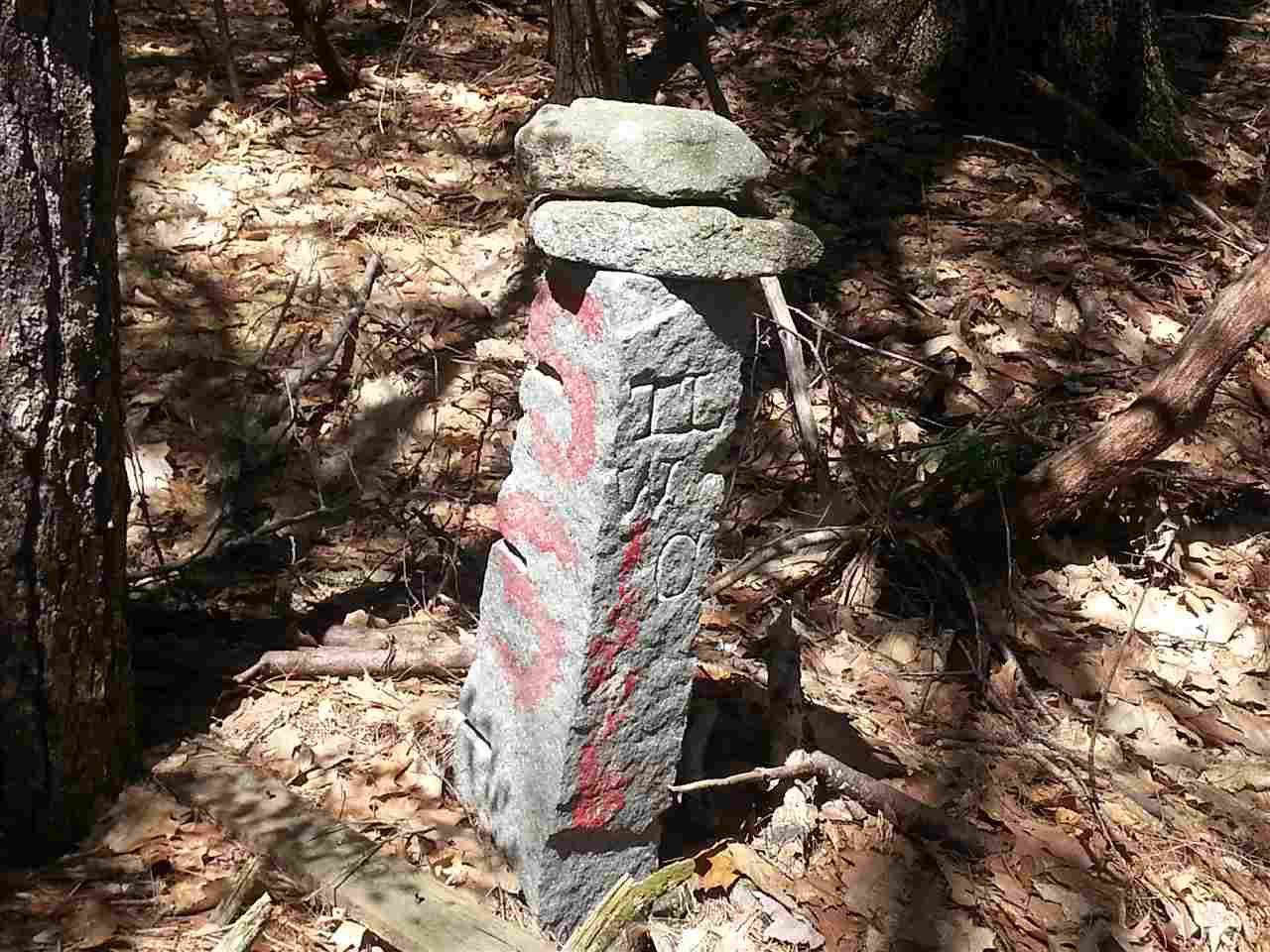 0 Carleton Road Spofford, NH 03462 - Photo 2 of 6 Gallery Image 2