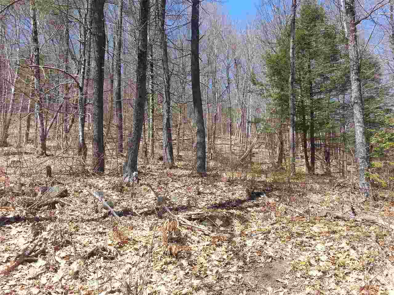 0 Carleton Road Spofford, NH 03462 - Photo 3 of 6 Gallery Image 3