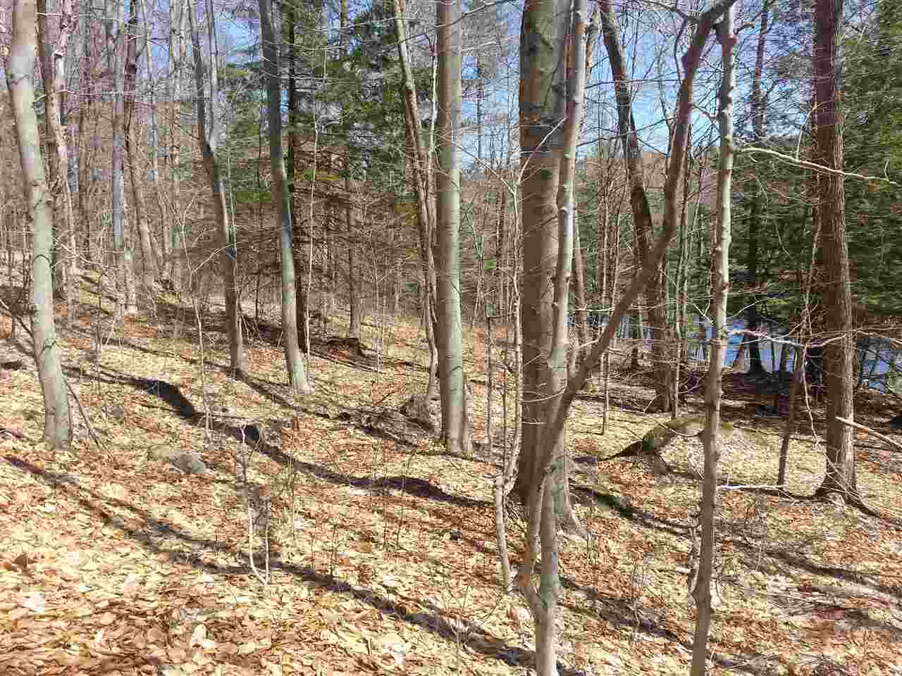 0 Carleton Road Spofford, NH 03462 - Photo 4 of 6 Gallery Image 4