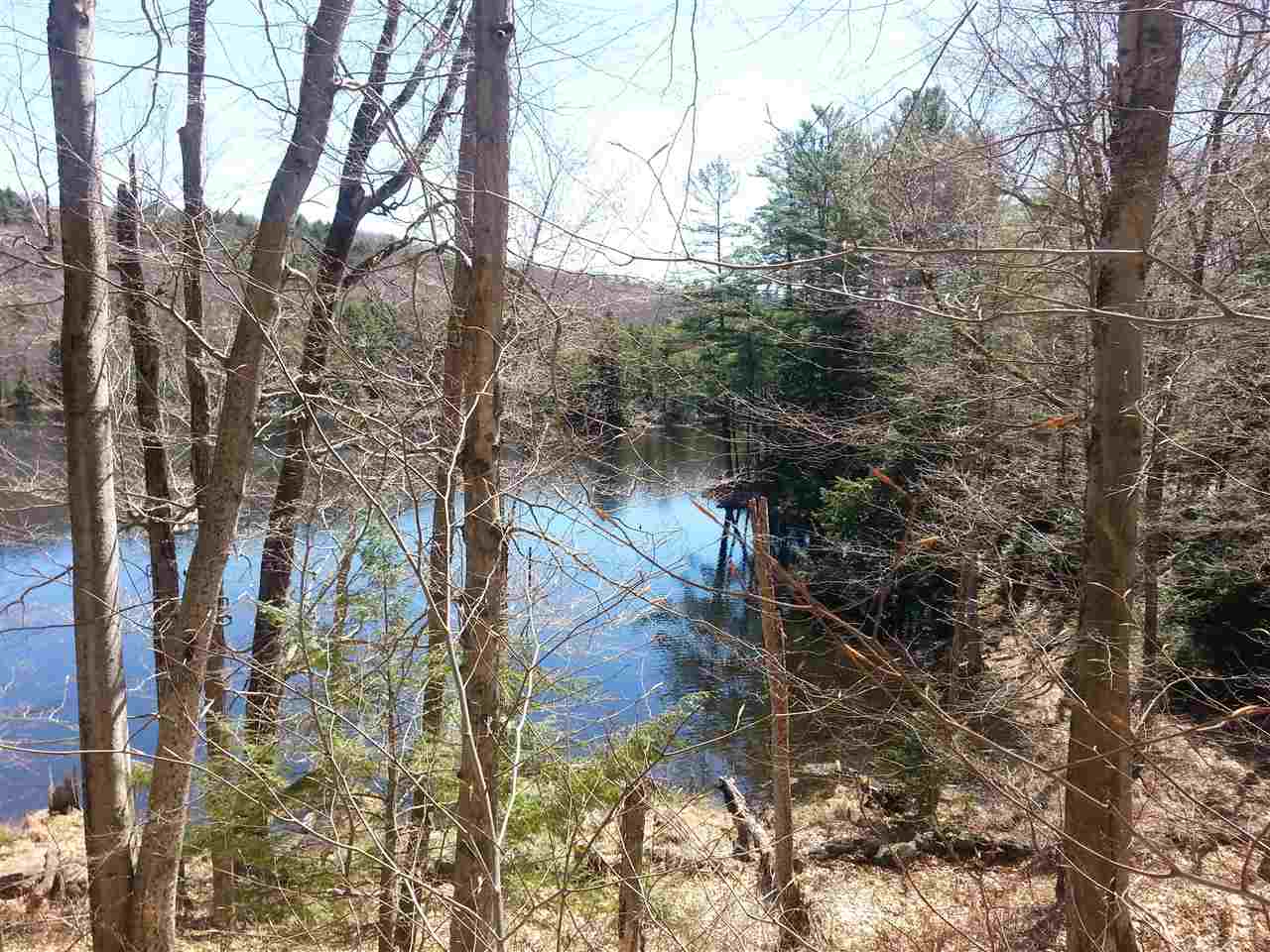 0 Carleton Road Spofford, NH 03462 - Photo 5 of 6 Gallery Image 5