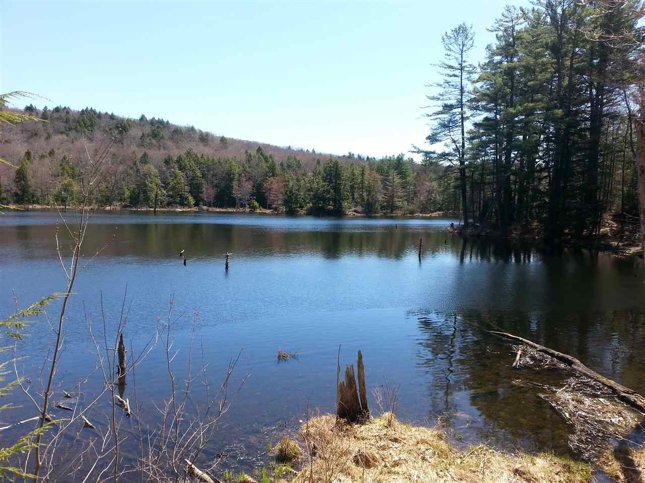 0 Carleton Road Spofford, NH 03462 - Photo 6 of 6 Gallery Image 6