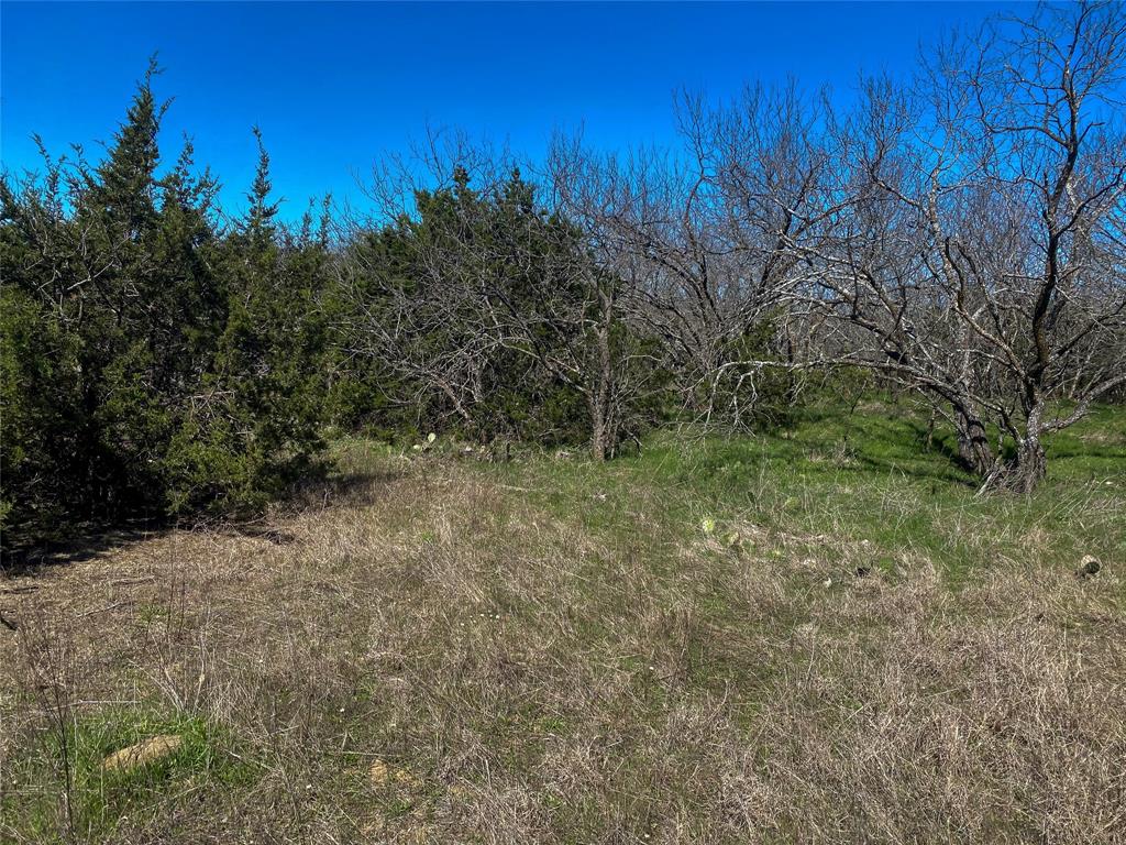 1700 Don Lee Road Joshua, TX 76058 - Photo 22 of 33