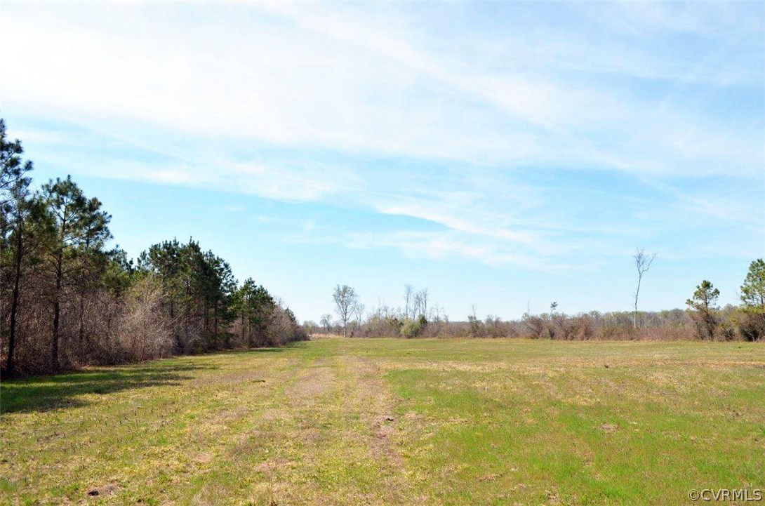 0 Sandy Hill Road Courtland, VA 23837 - Photo 9 of 13 Gallery Image 9