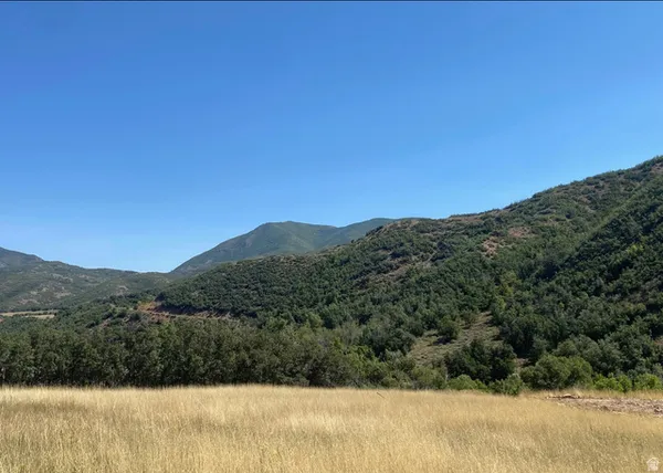 $250,000 | 169 Meadow Drive, Springville, UT 84663