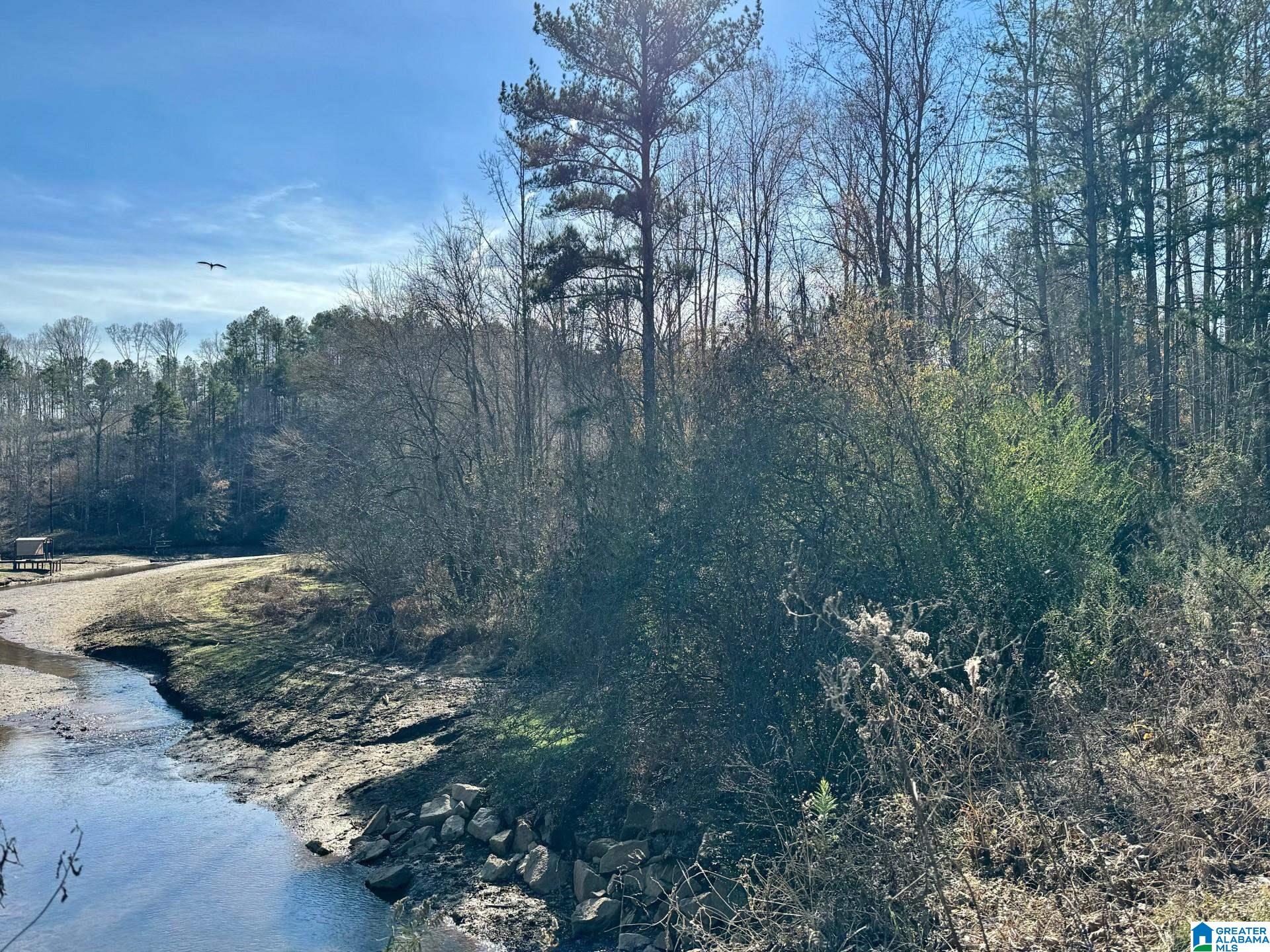 7 County Road Wedowee, AL 36278 - Photo 2 of 9