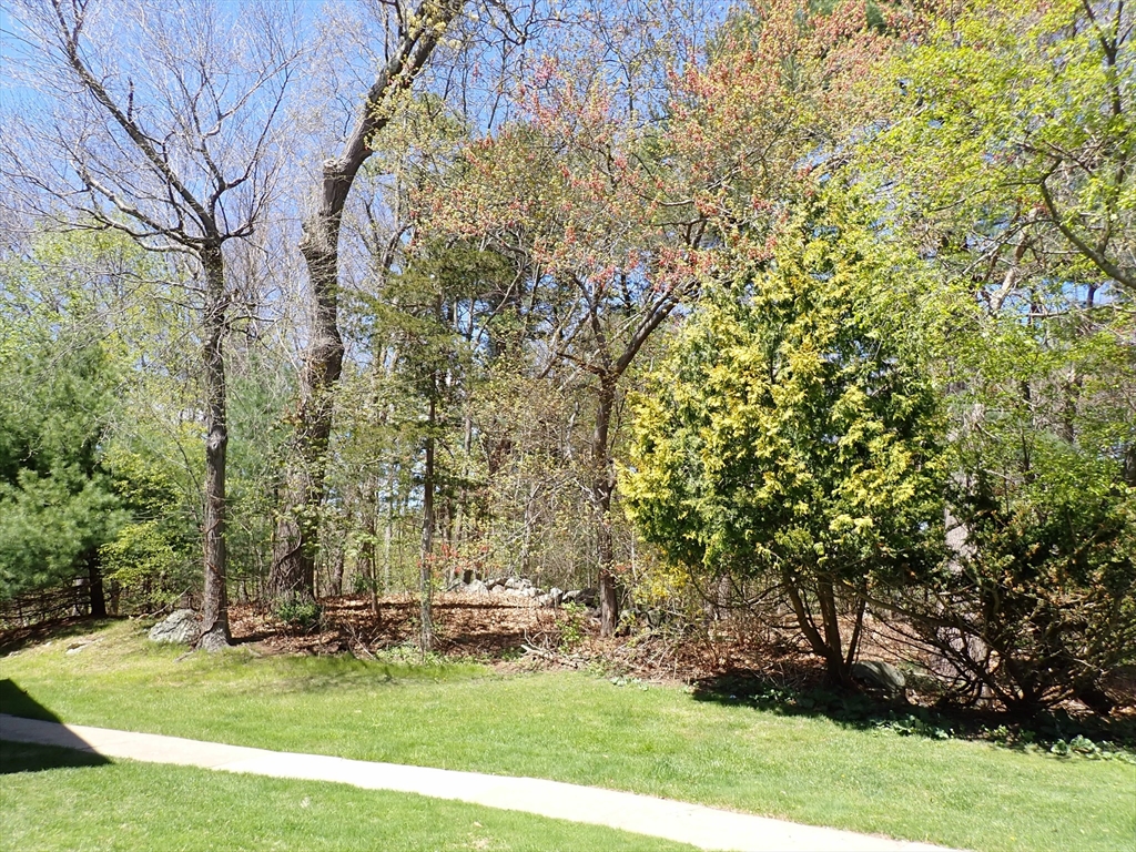 51 Jacqueline Road, Unit 3 Waltham, MA 02452 - Photo 17 of 17