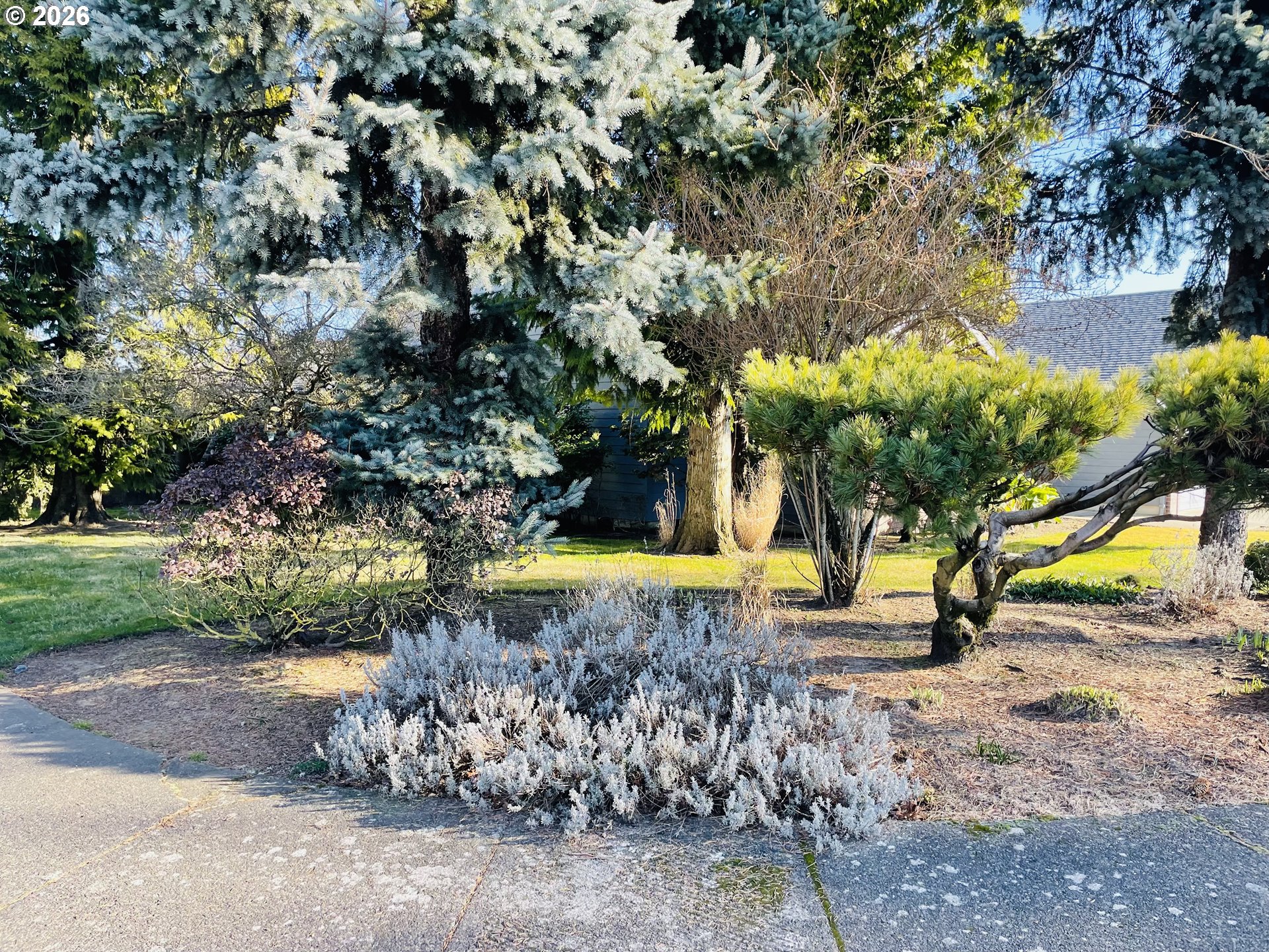 1843 Northwest 29th Circle Camas, WA 98607 - Photo 4 of 27