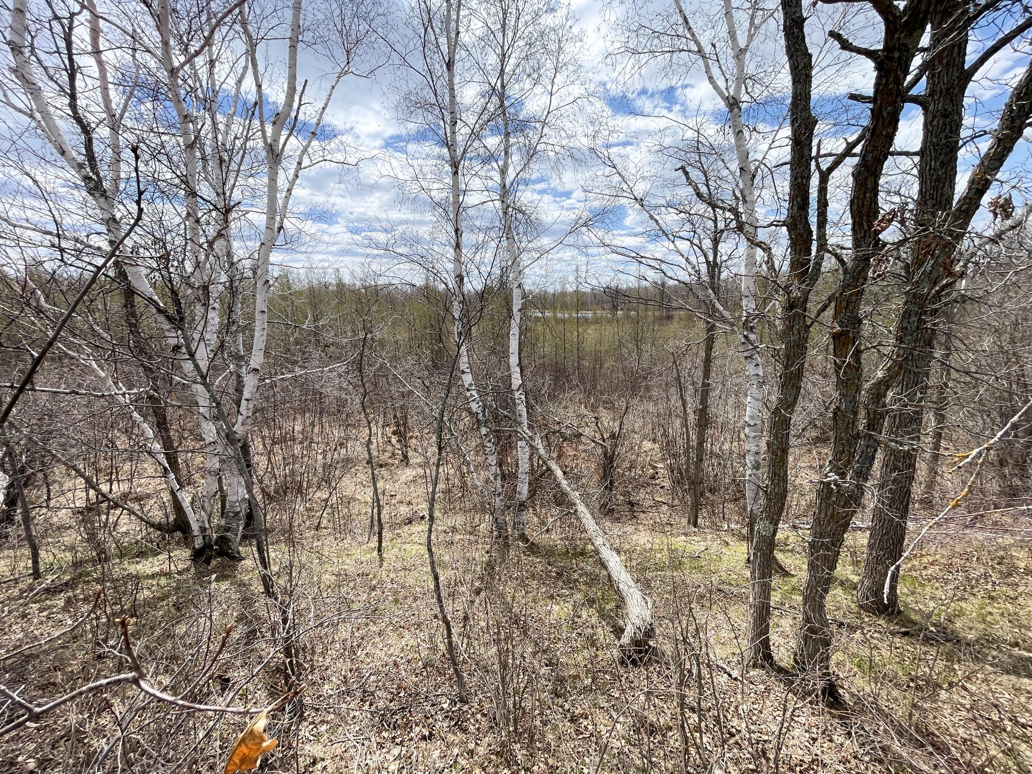 Tbd1 Boot Lake Road Southwest Bemidji, MN 56601 - Photo 26 of 41