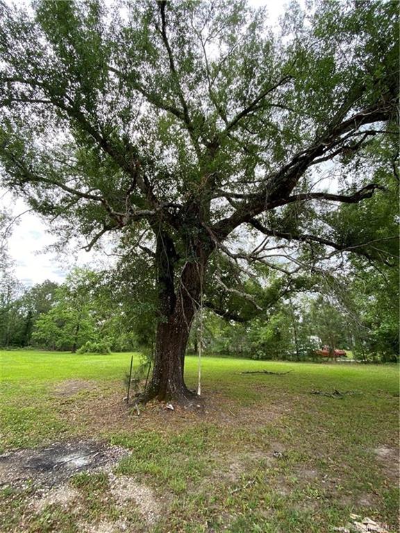 0 Brahman Drive Ragley, LA 70657 - Photo 8 of 9