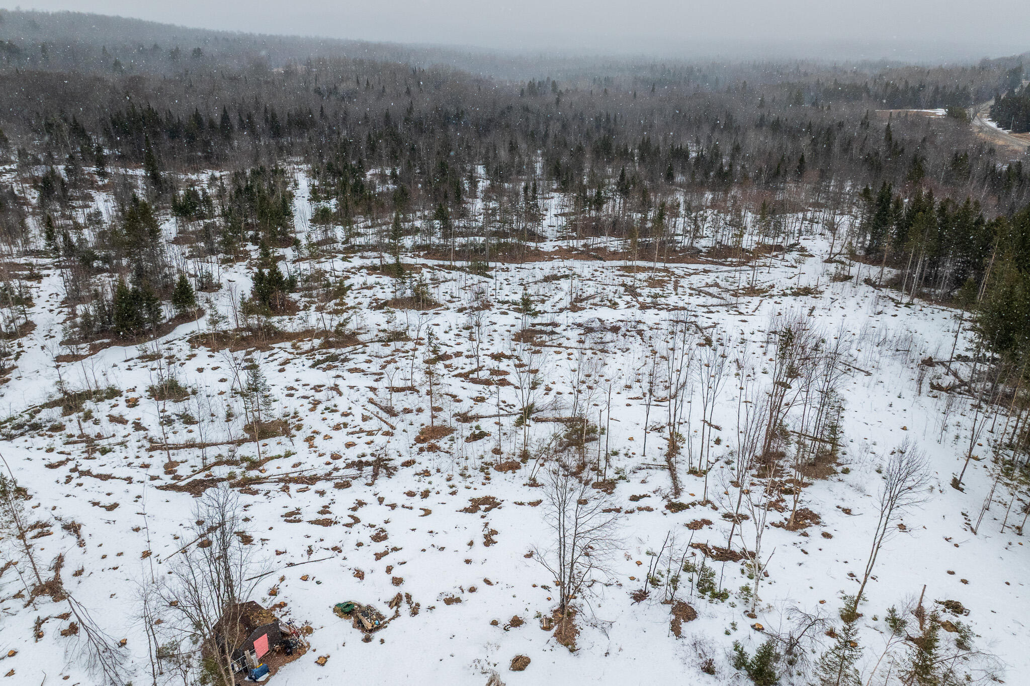 1337 East Plantation Road Blaine, ME 04734 - Photo 11 of 17 DJI_20260331095817_0436_D-HDR