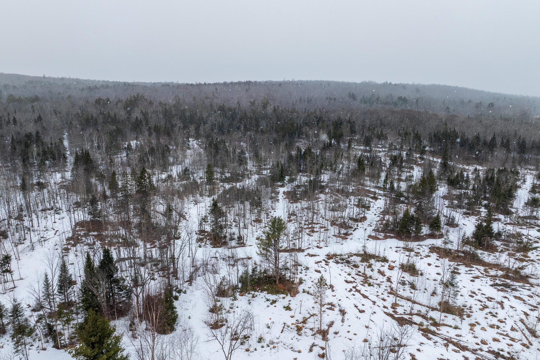 1337 East Plantation Road Blaine, ME 04734 - Photo 12 of 17 DJI_20260331095822_0441_D-HDR