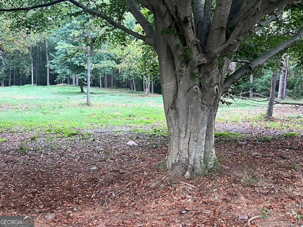 5160 Covington Highway, Unit 18 Decatur, GA 30035 - Photo 3 of 8 a view of outdoor space with trees