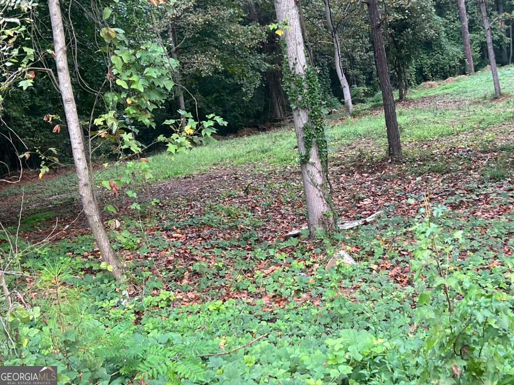 5160 Covington Highway, Unit 18 Decatur, GA 30035 - Photo 4 of 8 a view of a garden with trees
