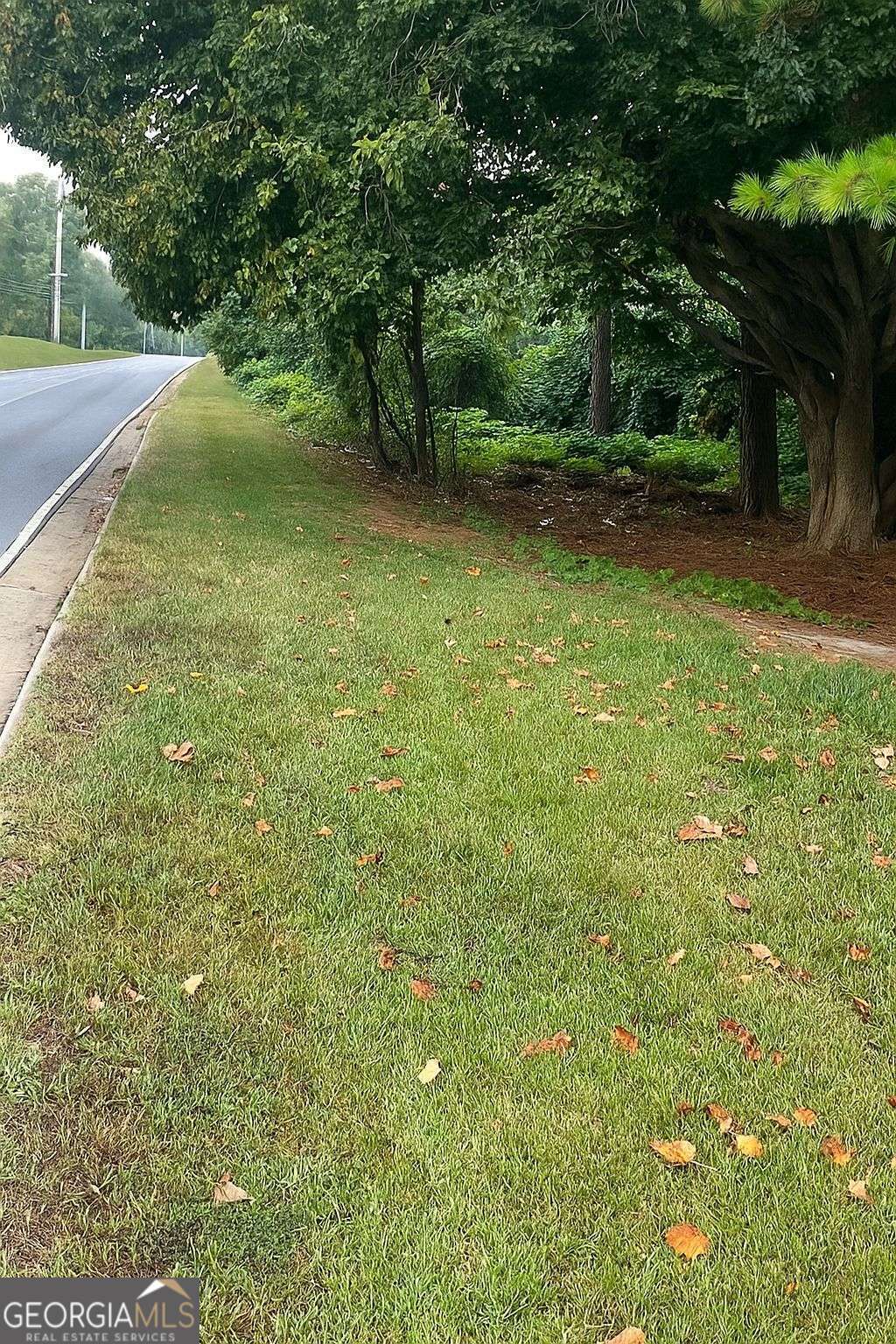 5160 Covington Highway, Unit 18 Decatur, GA 30035 - Photo 6 of 8 a view of a trees with a yard