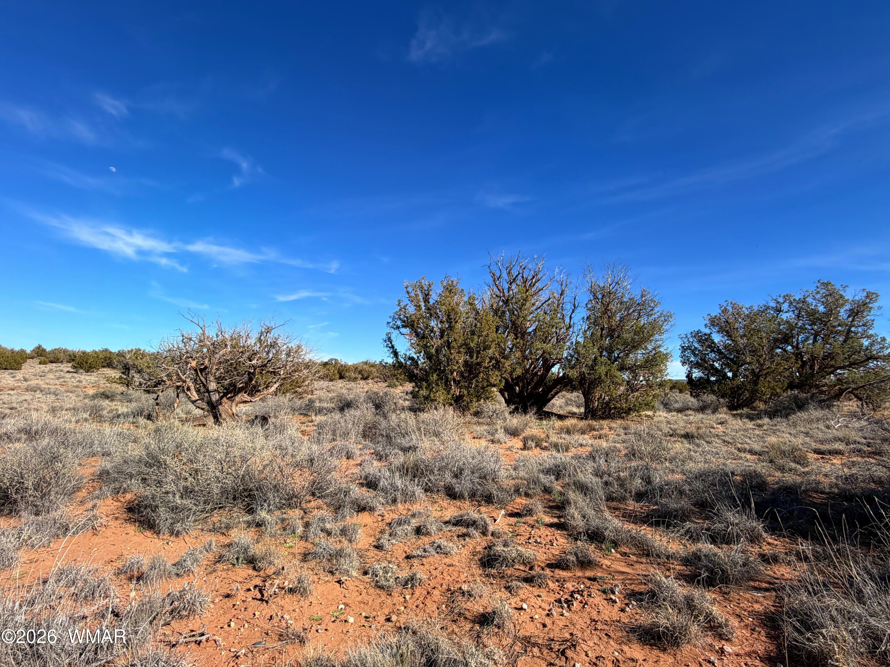 4125 Sorrel Road Snowflake, AZ 85937 - Photo 2 of 10 a view of a field