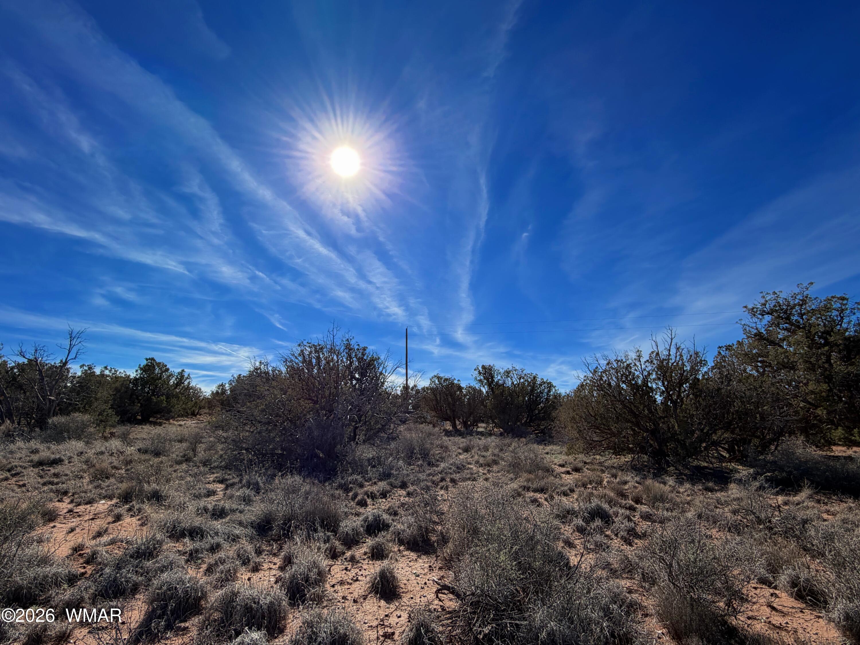 4125 Sorrel Road Snowflake, AZ 85937 - Photo 4 of 10 a view of sunset and covered with trees