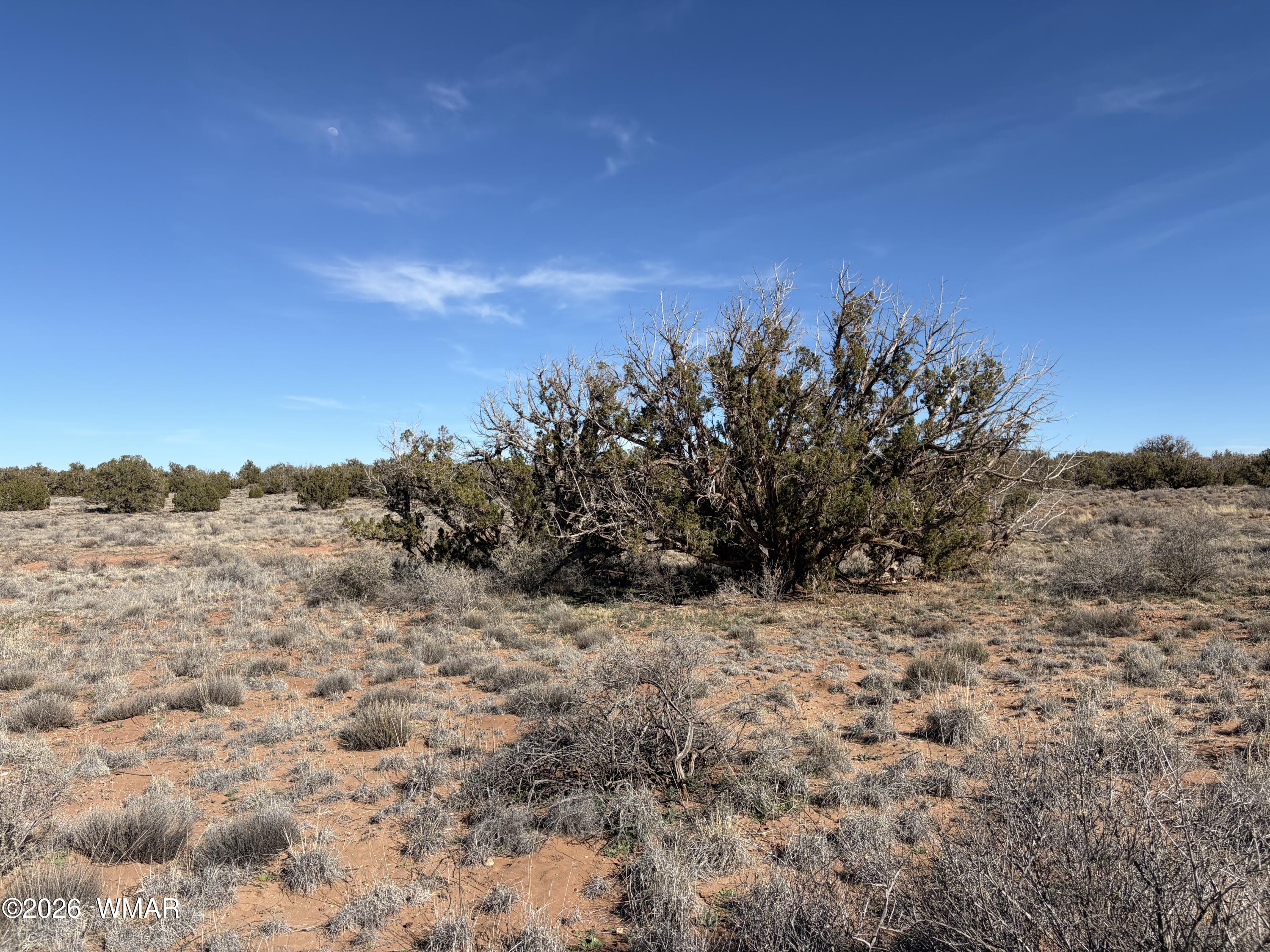 4125 Sorrel Road Snowflake, AZ 85937 - Photo 6 of 10 a view of a dry yard with mountains in the background