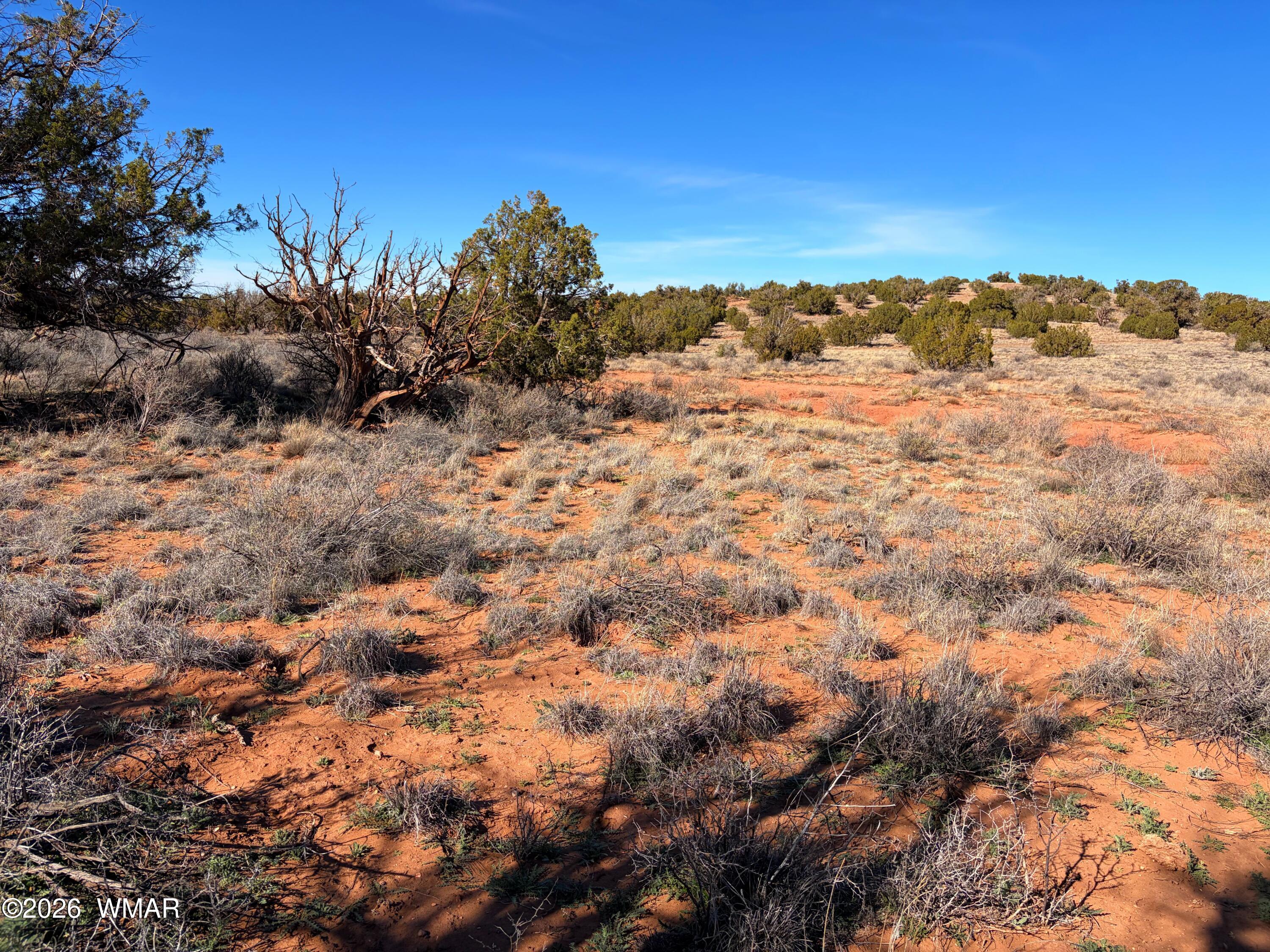4125 Sorrel Road Snowflake, AZ 85937 - Photo 8 of 10 a view of ocean