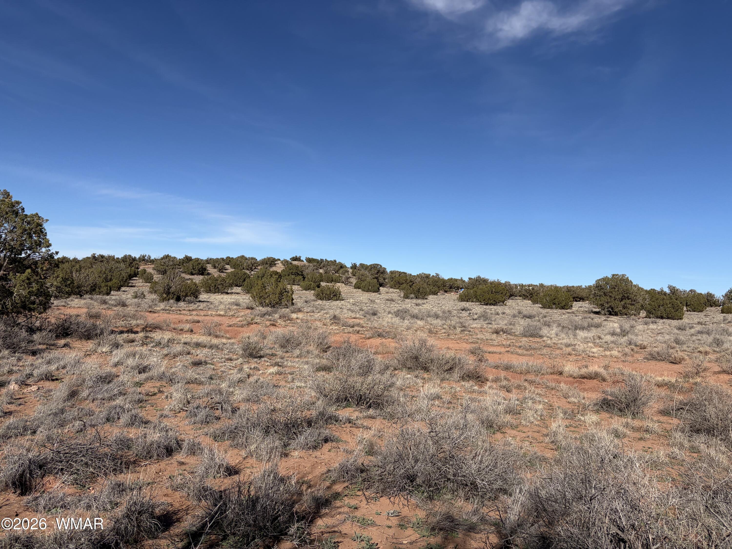 4125 Sorrel Road Snowflake, AZ 85937 - Photo 9 of 10 a view of mountain view and mountain
