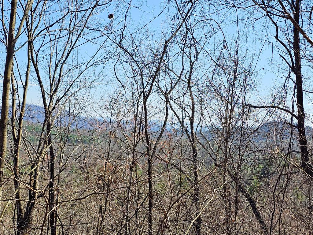 Lot 39 Merlin Trail Murphy, NC 28906 - Photo 1 of 21 Main View