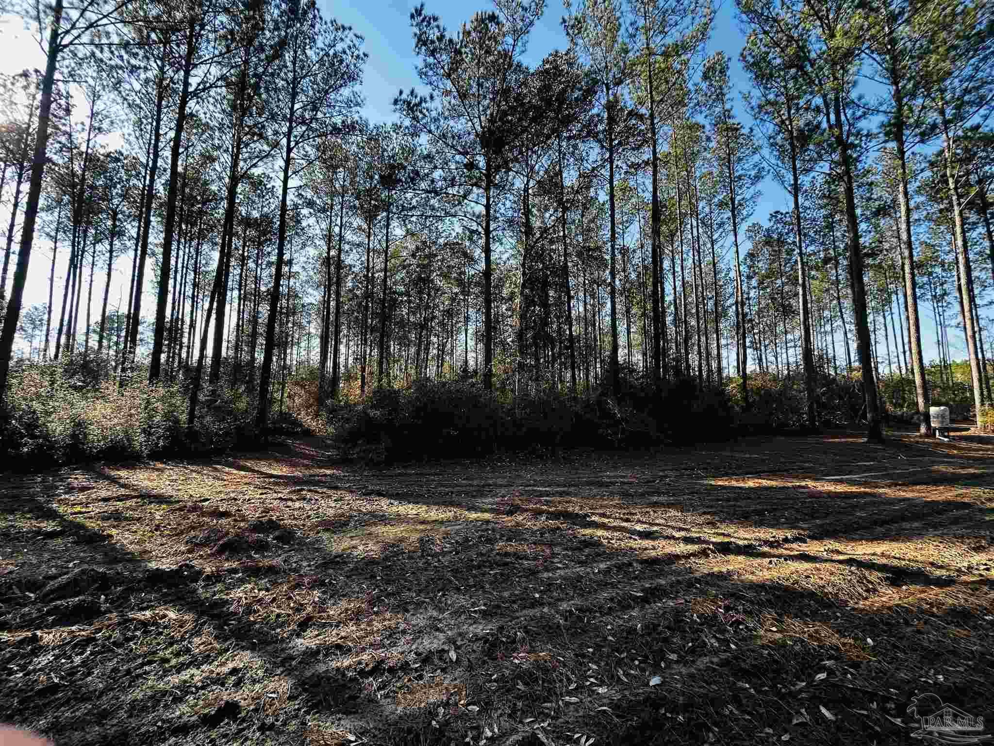 Lot 407 Country Mill Road Jay, FL 32565 - Photo 5 of 10 a view of a backyard of a house