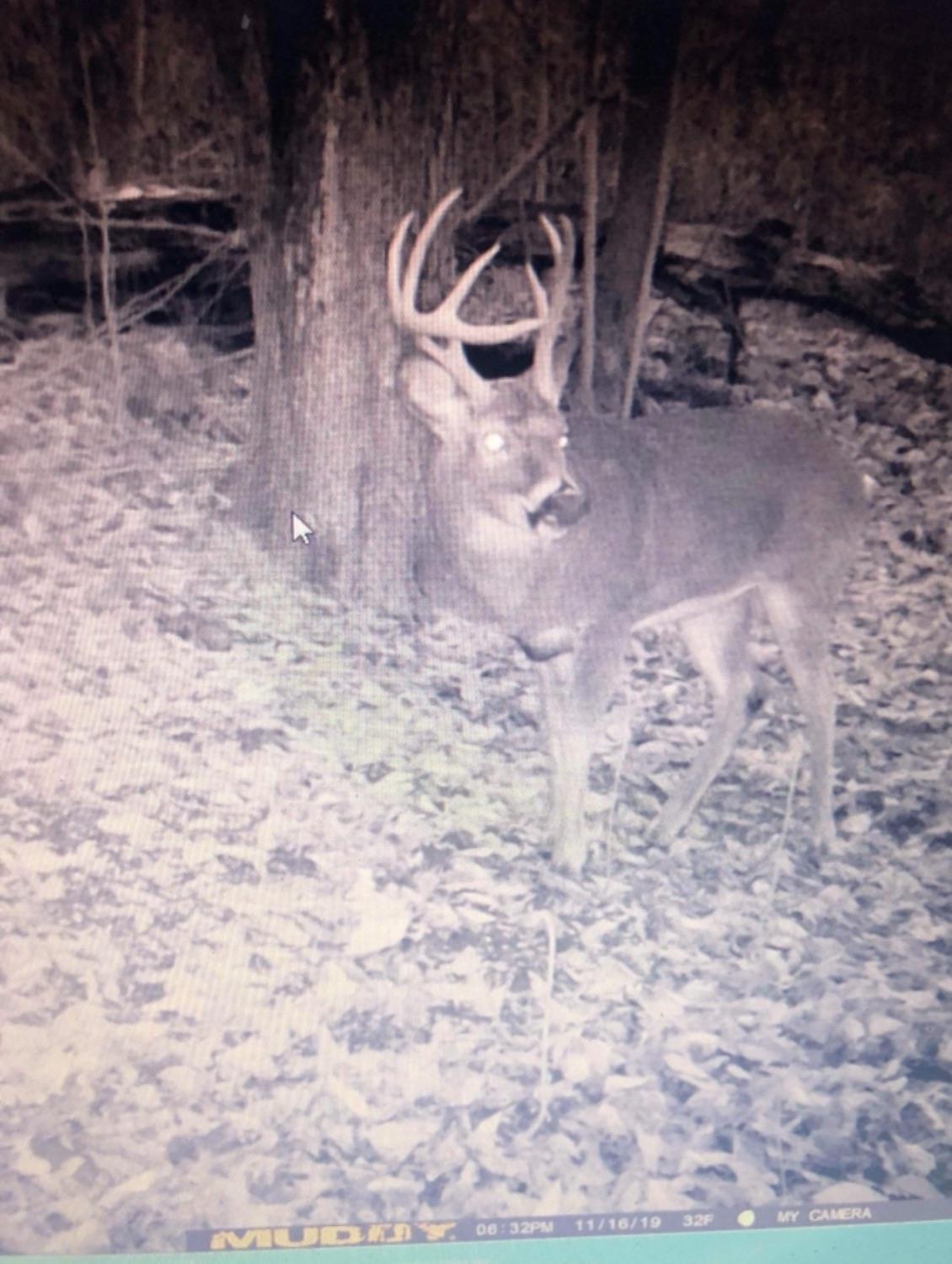 0 Dever Road Piketon, OH 45661 - Photo 13 of 46